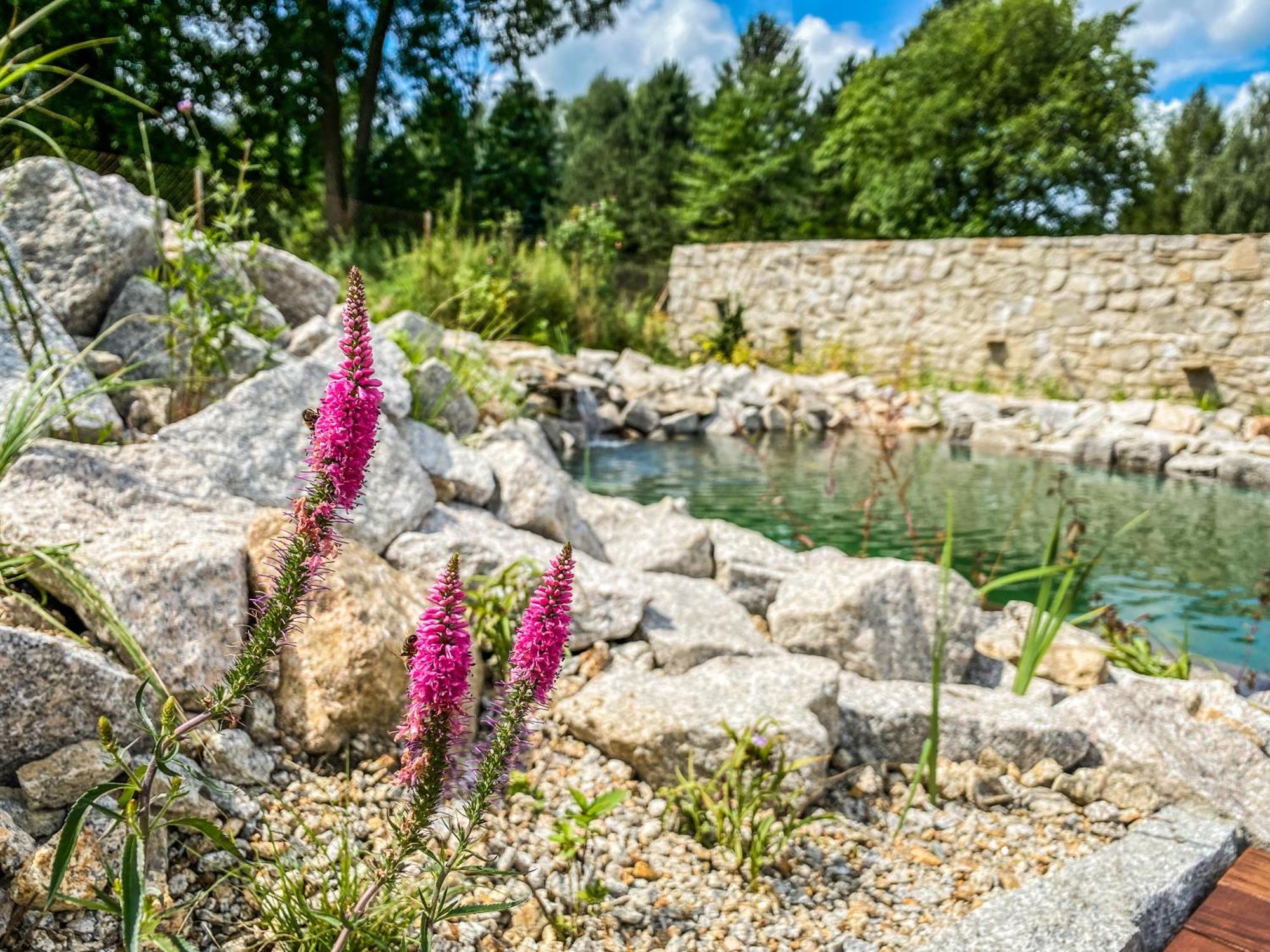 Chalupa Ludvikov Nove Mesto pod Smrkem Exteriér fotografie